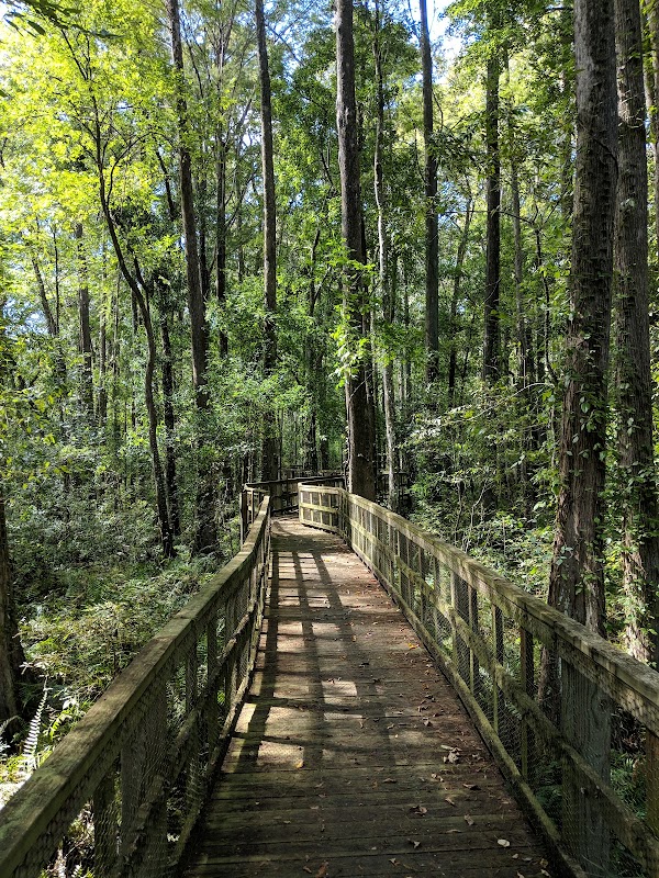 Upper Pithlachascotee River Preserve