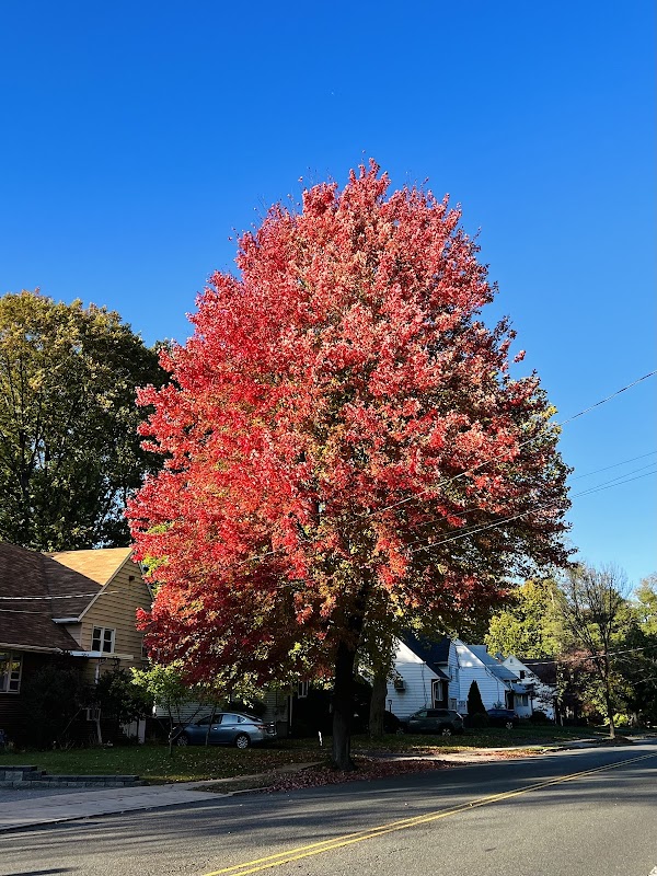 Dr.Barnett's Bookstaver Park
