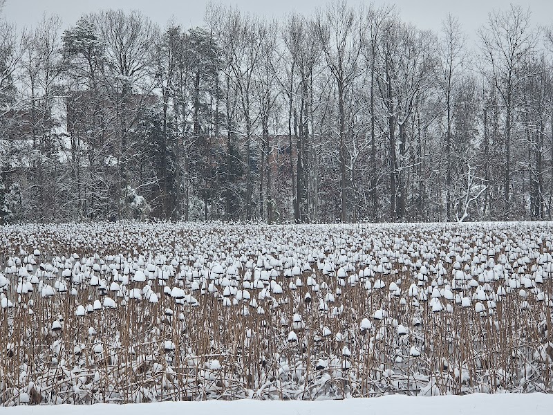 Samtec Nature Preserve