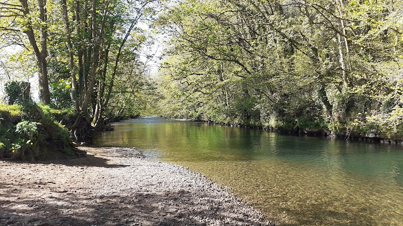 Craig-y-Parcau Local Nature Reserve
