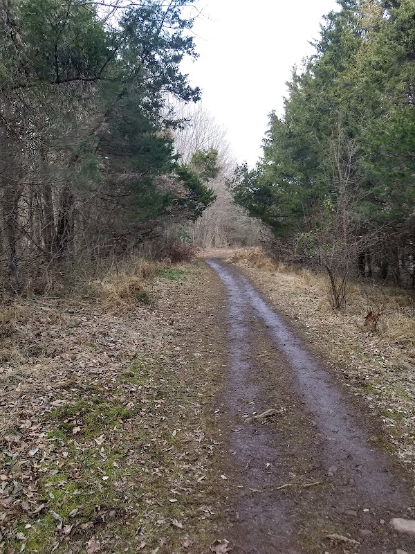 Green Lane Park - Ward Road Trailhead
