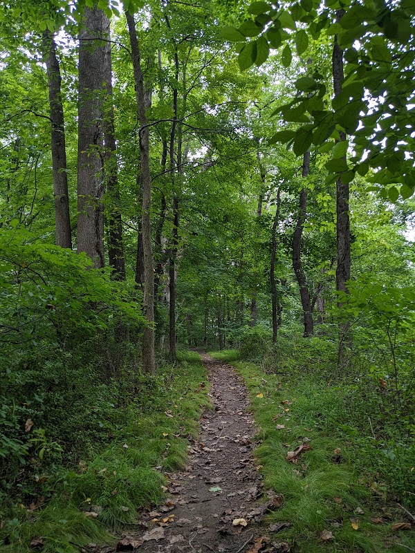 Florence W. Kuipers Memorial Park