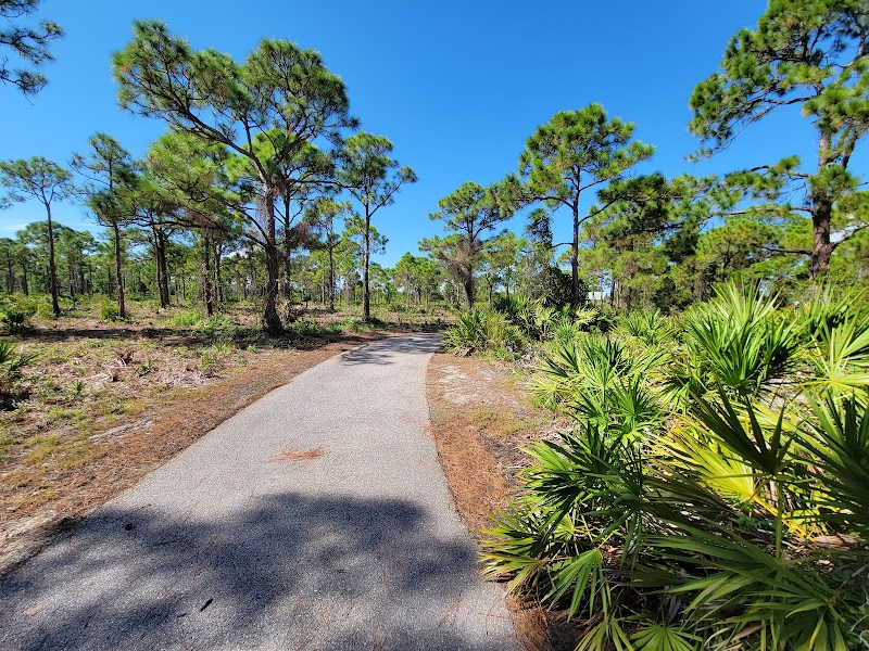Pinewood Trails