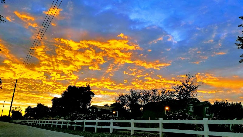PARK On Camellia & Pecan