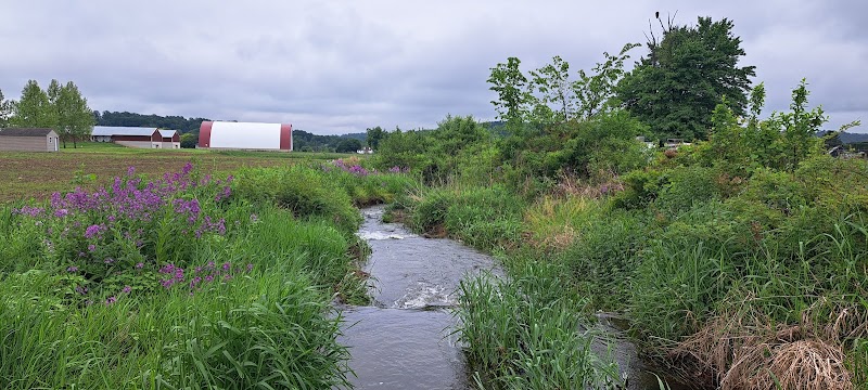 Harnish Run