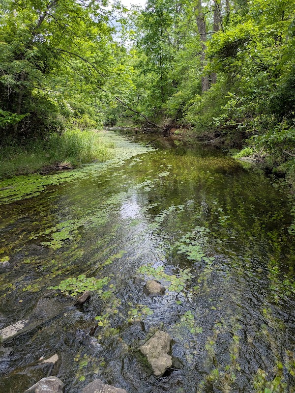 Green Ribbon Trail & Preserve