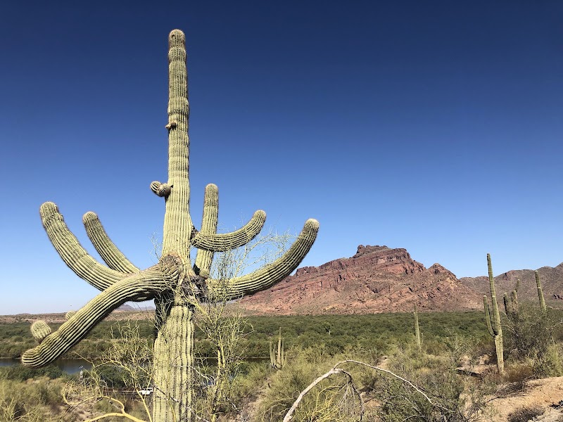 Bush Highway Trailhead