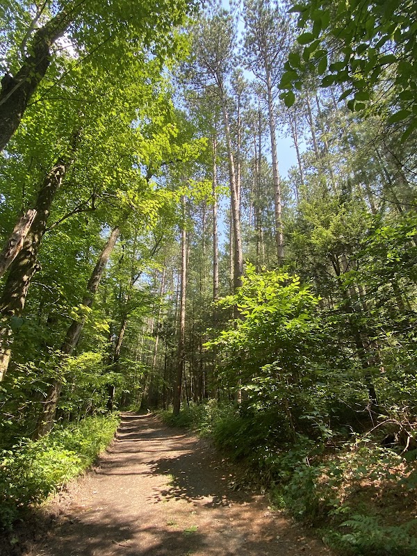 Passaic County Camp Hope