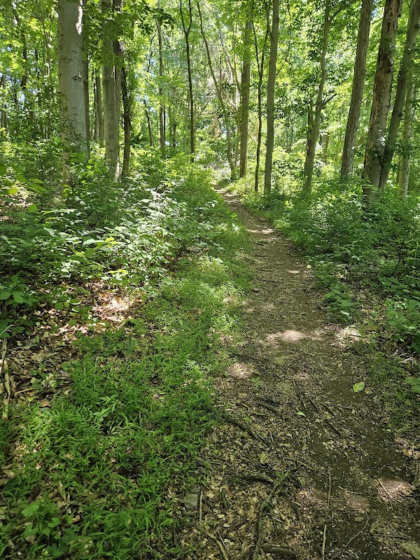 Laurel Woods Trail