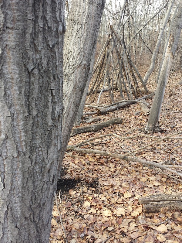 Hawkwood Uplands Ravine