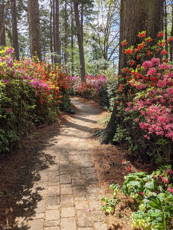WRAL Azalea Garden