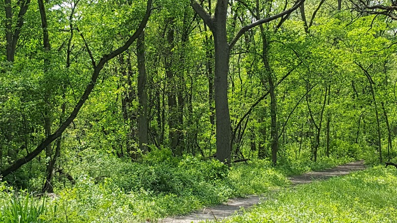 Forest Preserves of Cook County
