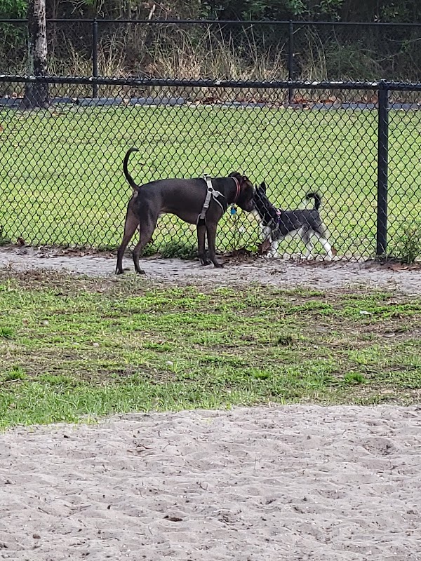 Meadow Woods Dog Park