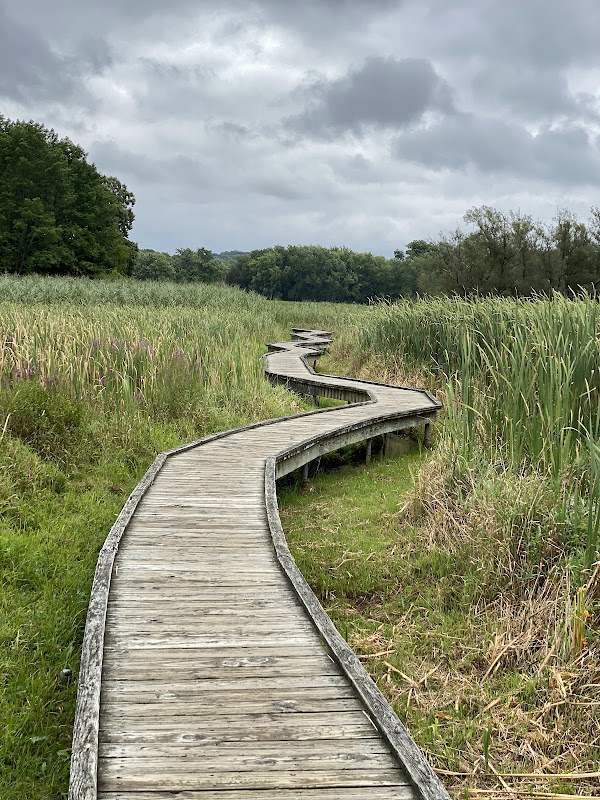 Appalachian Trail Boardwalk