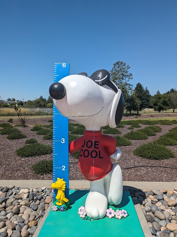 Peanut Gallery Plaza at Kaiser Permanente