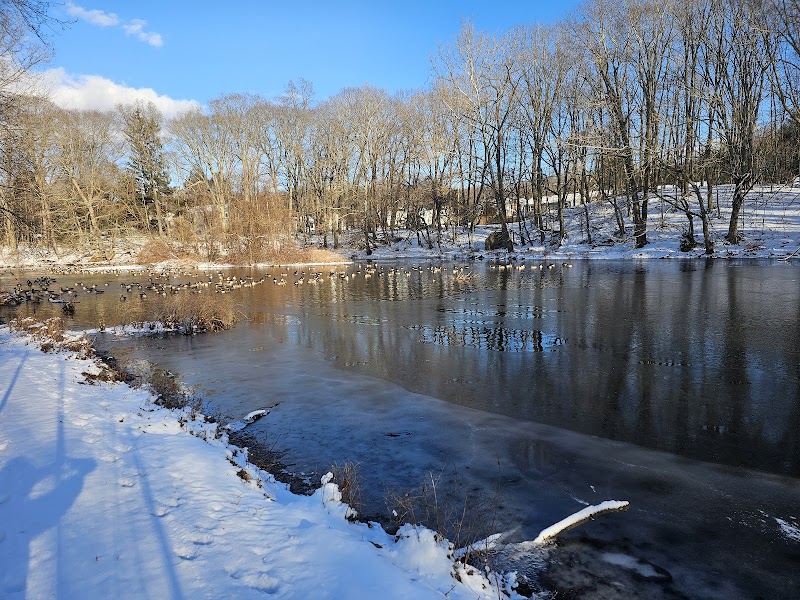Flower House Drive Open Space