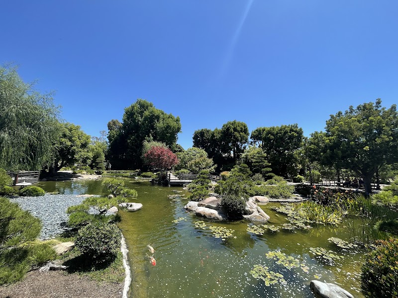 Japanese Garden
