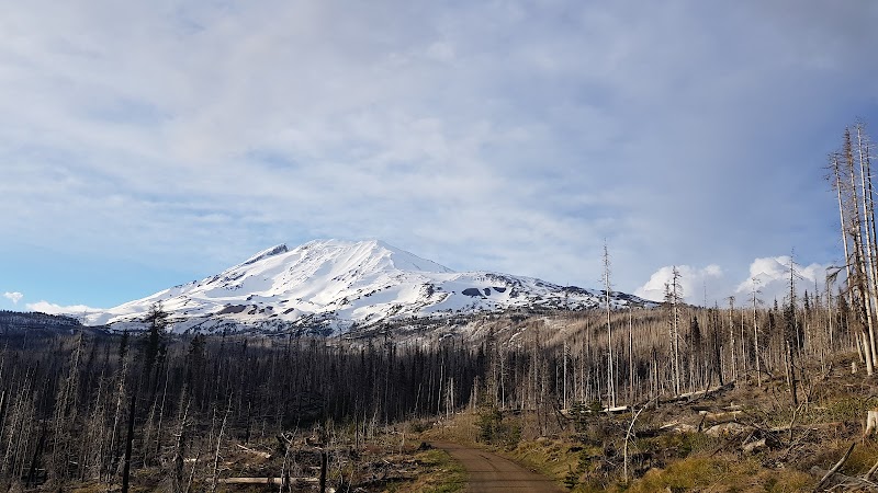 Trailhead: Upper Gotchen Creek (FR 8040)