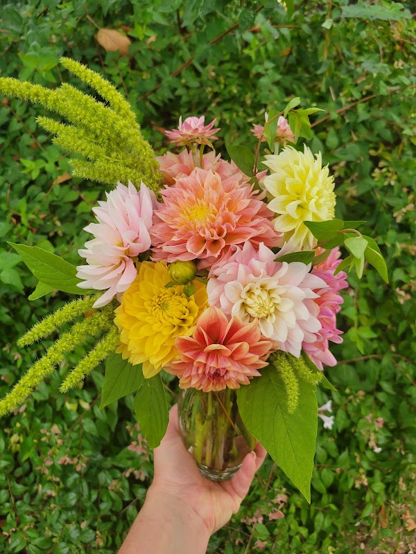 Hantho Flower Farm