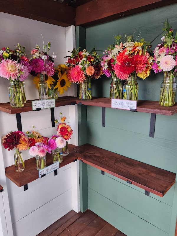 Hantho Flower Farm