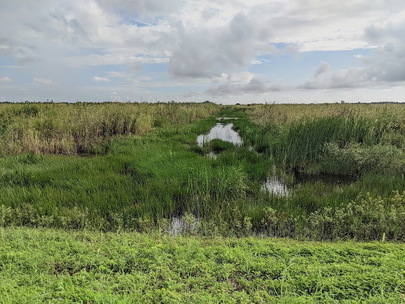 Sparrow Fields