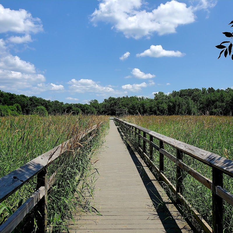 Blackfork Wetlands