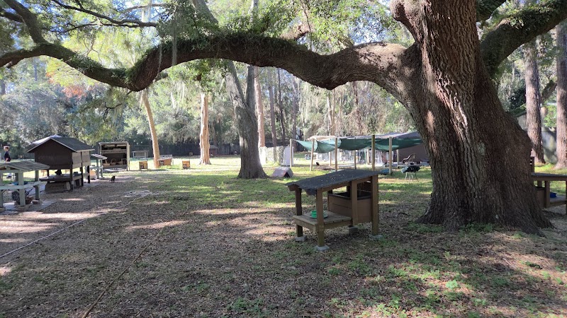 Cat Sanctuary- All About Cats HHI