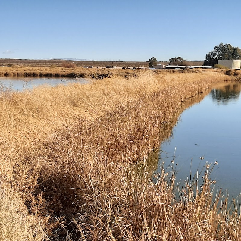 City of Ridgecrest Watchable Wildlife Park