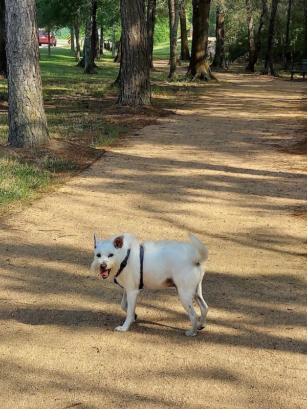 Kipper Mease Walking Path
