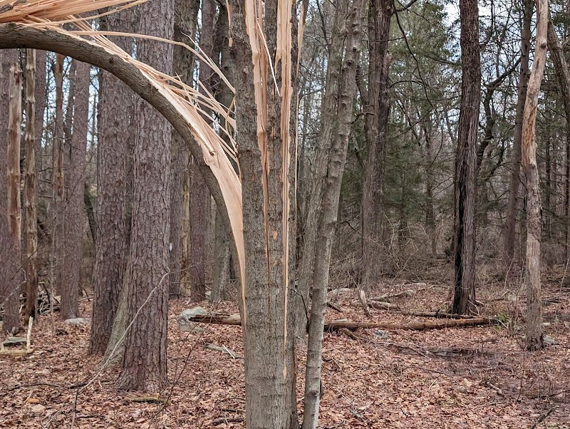 Prescott Wildlife Sanctuary