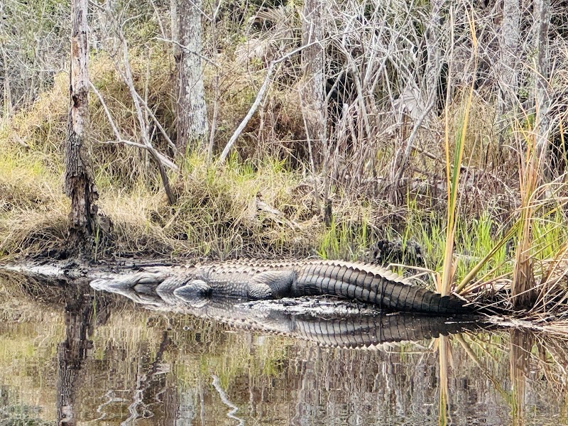 Manatee Park