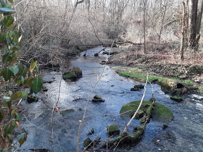 Preston's Spring Park