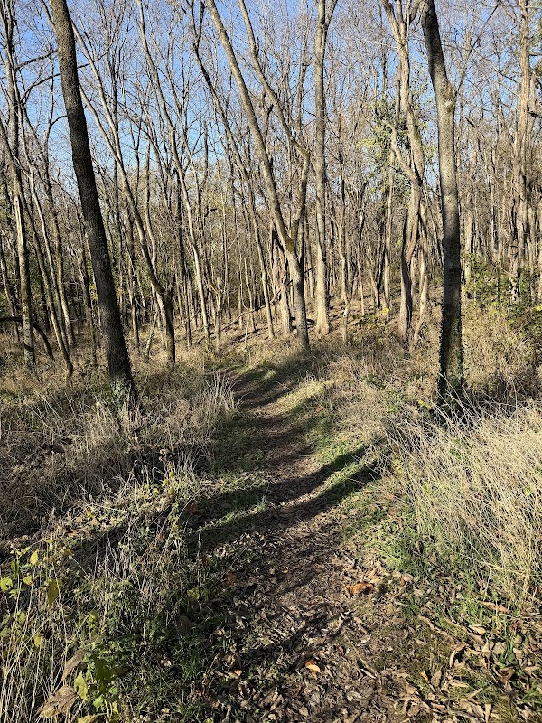 Preston's Spring Park