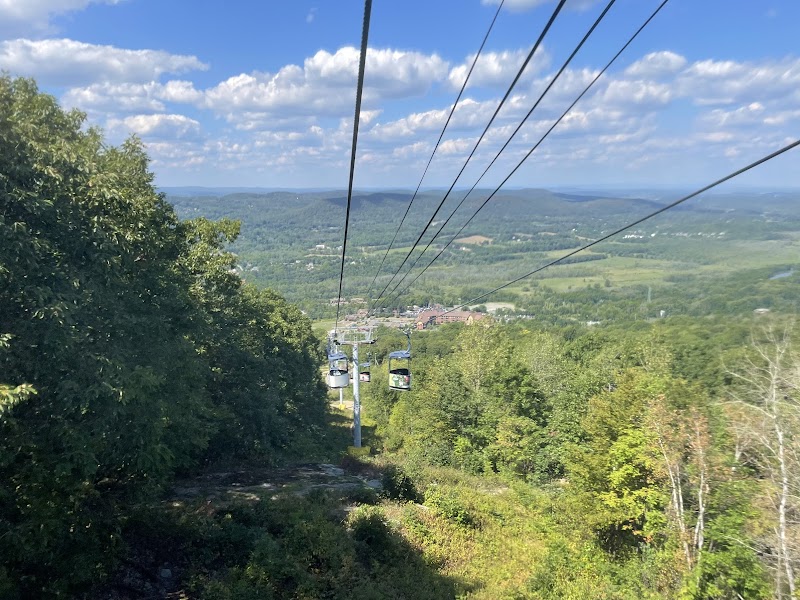 Mountain Creek Zip Tours