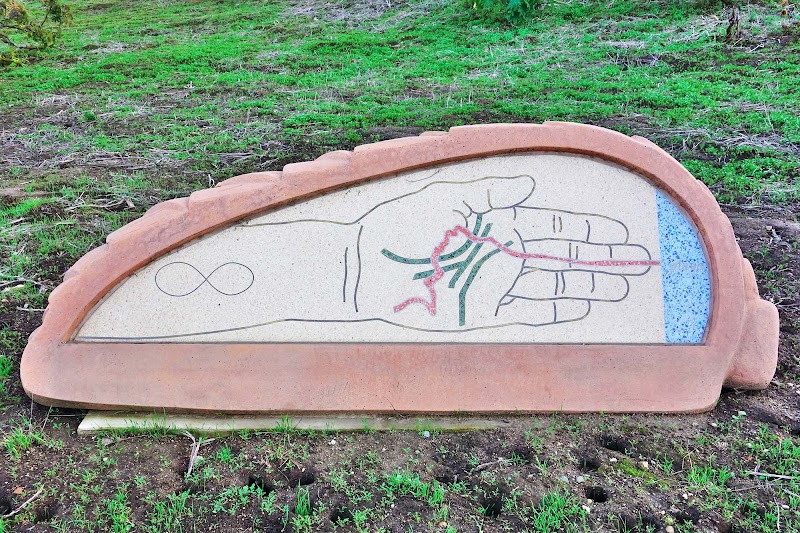 Citizen Seeds Site 1