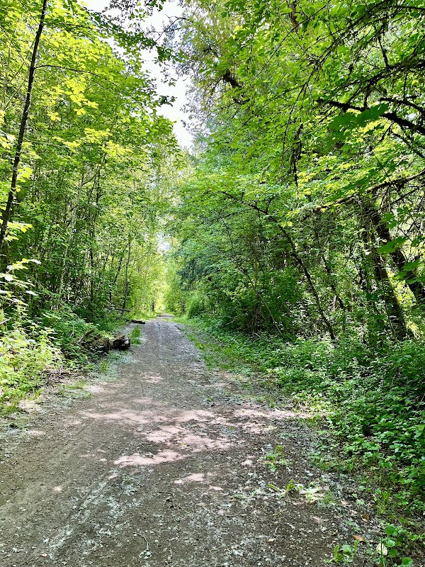 Minto-Brown Park Lot #4