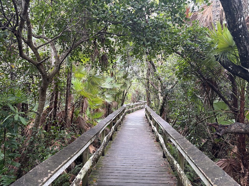 Mahogany Hammock Trailhead