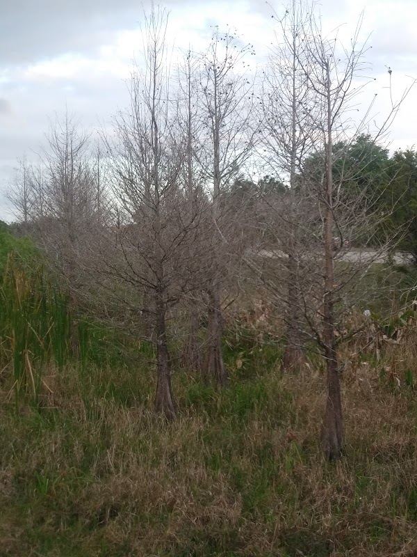 Jim Fleming Ecological Park
