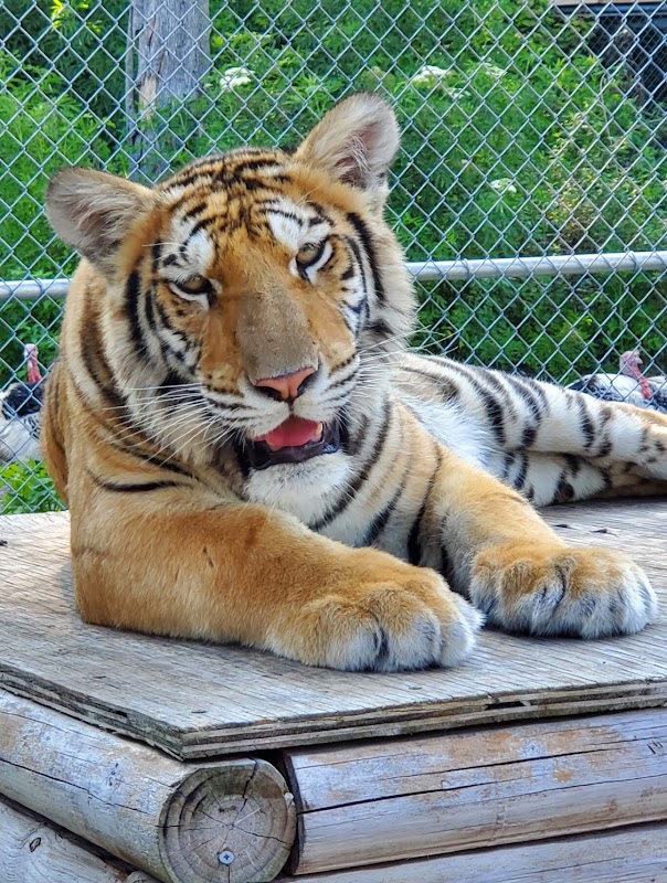 St. Augustine Wild Reserve