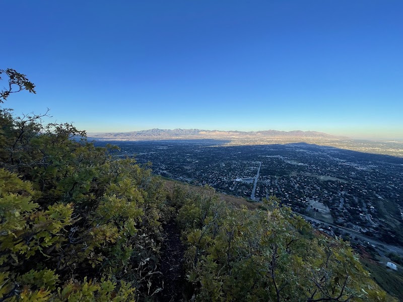 Houndstooth Trailhead