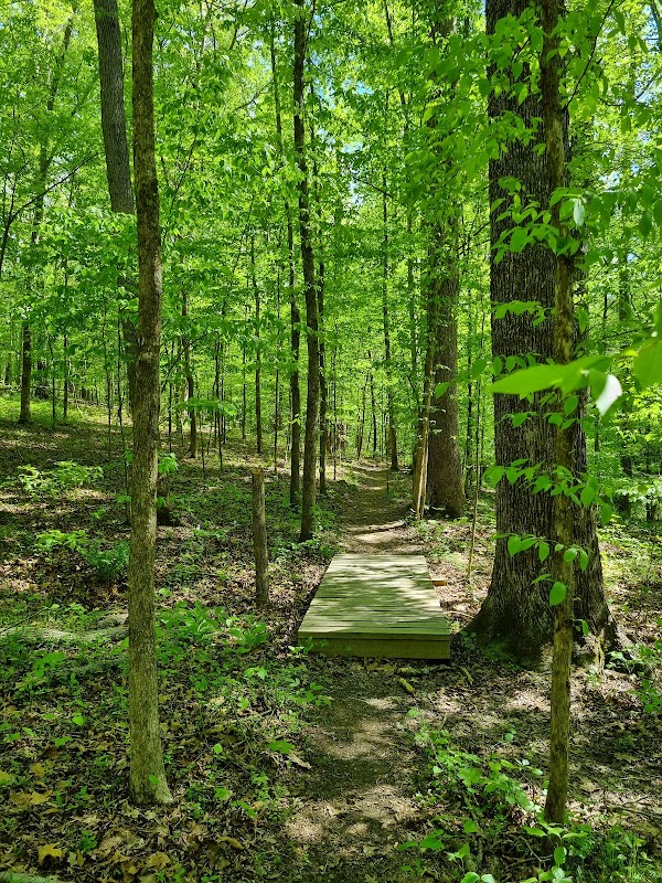 Horton Grove Nature Preserve South Parking