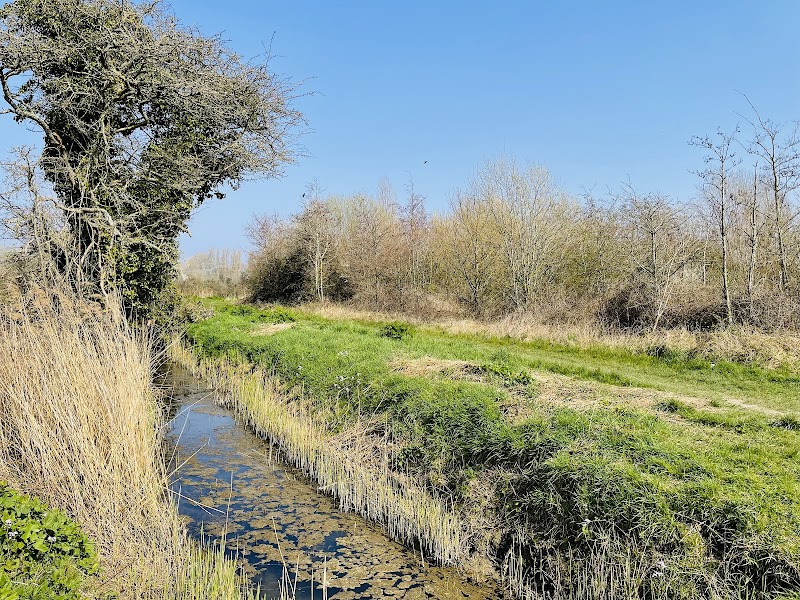 The Brooks Local Nature Reserve