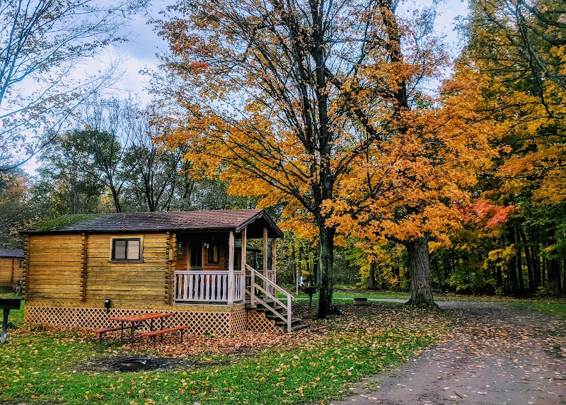 Yogi Bear's Jellystone Park at Mexico, NY
