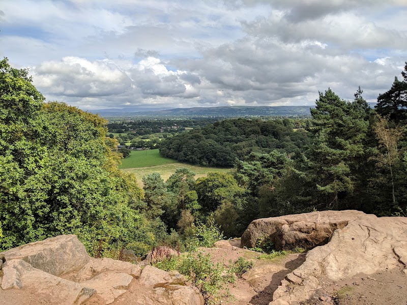 National Trust - Alderley Edge and Cheshire Countryside