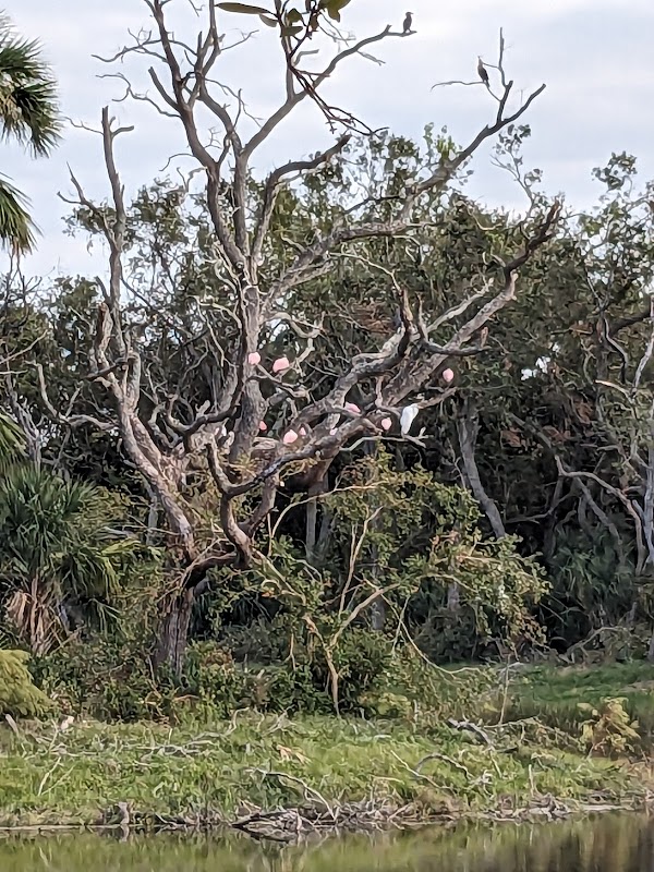 MacDill 48 Park (Skyview Park Entrance)