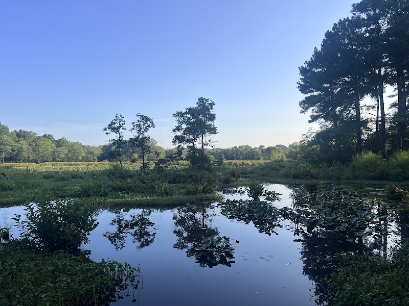 Jackson M. Abbott Wetland Refuge
