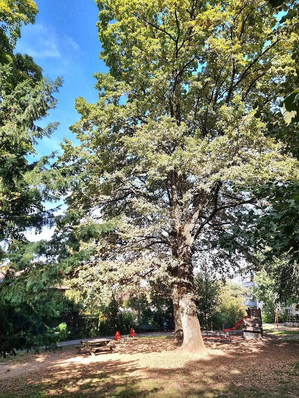Parc de la Tour Grise