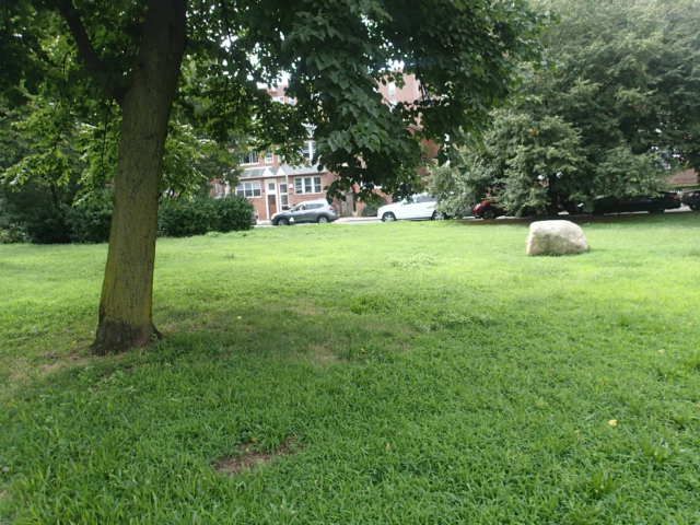 Sixteen Lindens Triangle