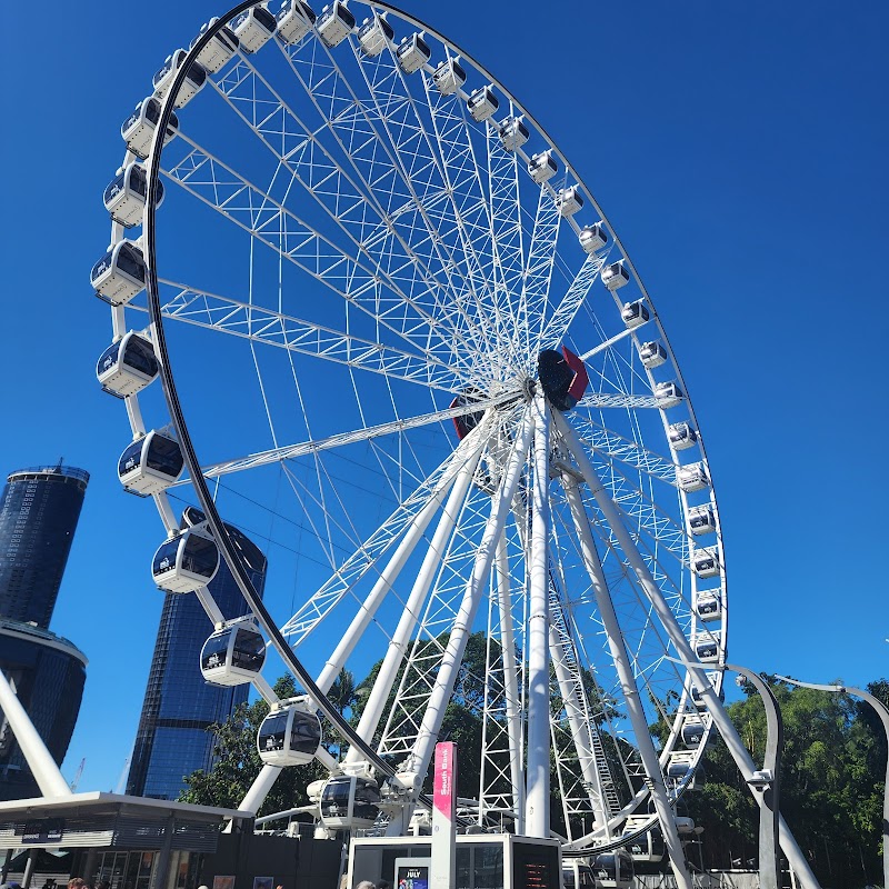 The Wheel of Brisbane