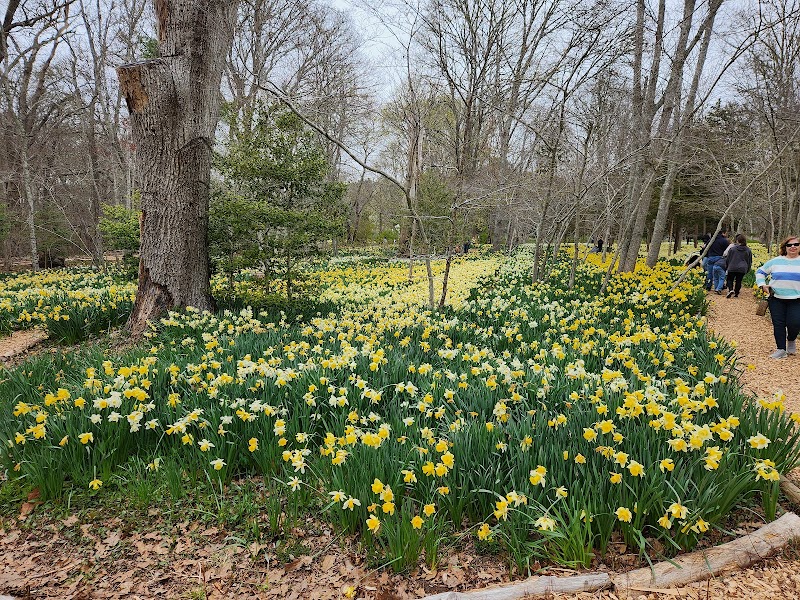 Village Gardens